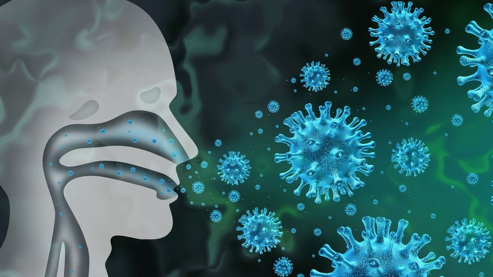 Soğuk algınlığına yol açan virüsün, koronavirüsü vücuttan atabildiği tespit edildi