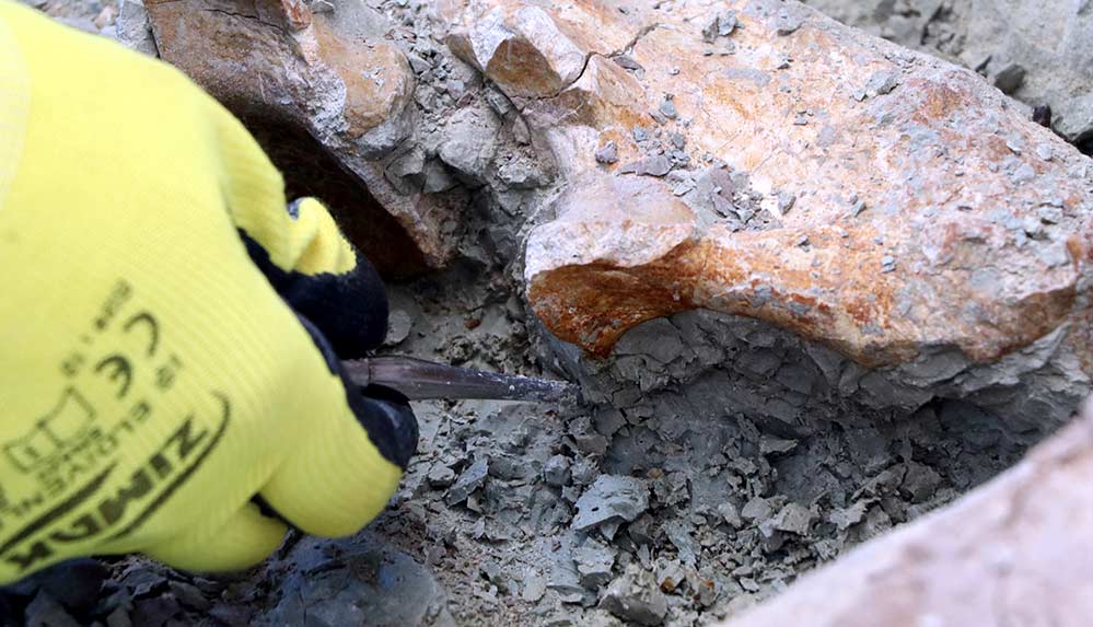 'Çorakyerler'de 24 yılda 5 binin üzerinde fosil bulundu