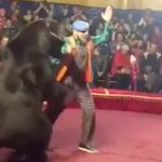 esaret-altinda-tutulan-ayi-terbiyecisine-saldirdi