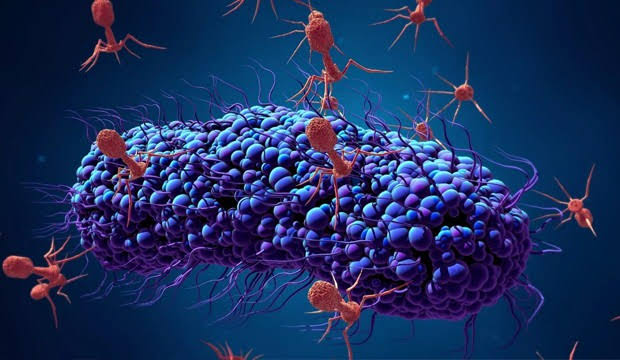 Çin'den dünyaya yayılmaya başlayan 'korona virüsü' hakkında 5 önemli bilgi