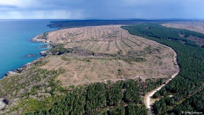 sinop nukleer santral