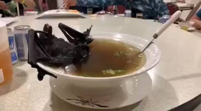 Corona virüsü nedir? Koronavirüs nasıl bulaşır ve belirtileri nelerdir?