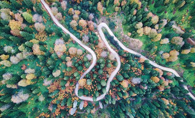 Örümcek Ormanları'na yoğun ilgi-1