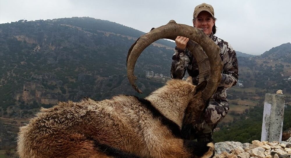 ABD'li avcı, Adıyaman'da dağ keçisini katletti