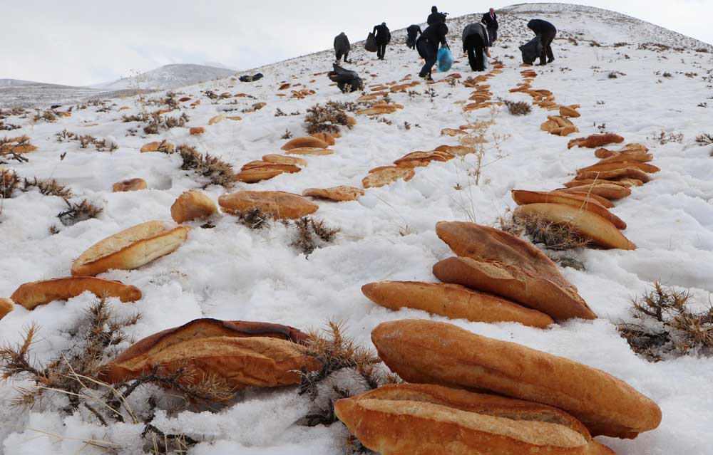 Doğaya yaban hayvanları için 2001 ekmek bırakıp dua ettiler