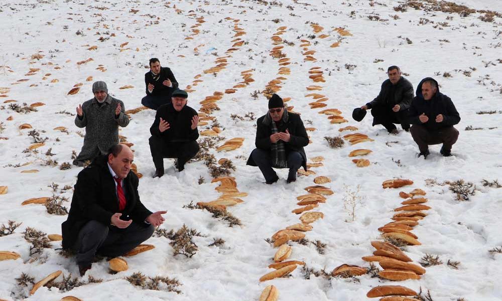dogaya-ekmek-biraktilar-2