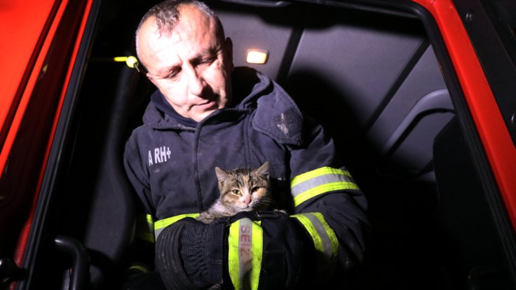 Yangından mahsur kalan yavru kediyi itfaiye ekipleri kurtardı 1 Yangından mahsur kalan yavru kediyi itfaiye ekipleri kurtardı