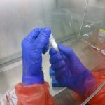 koronavirus-hangi-ısıda-aktif-kalıyor