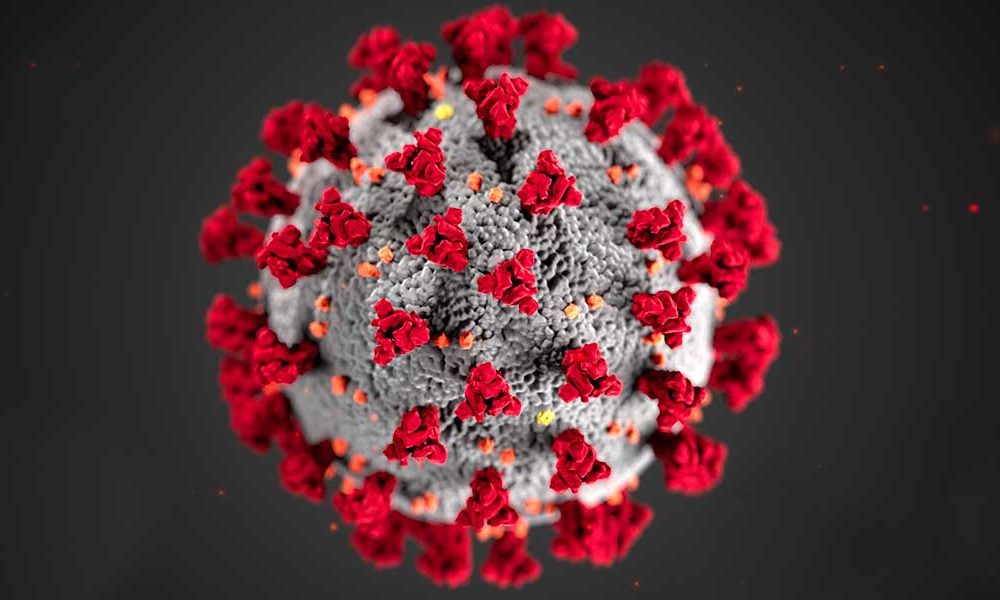 koronavirus-salgini-sozlugu
