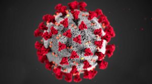 Koronavirüs salgını sözlüğü
