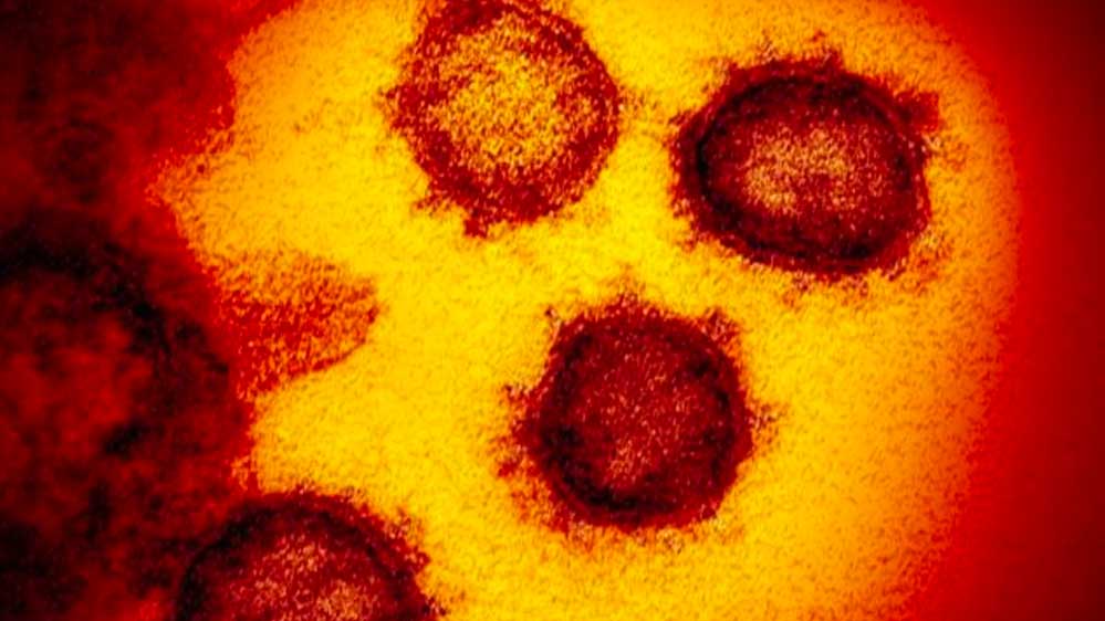 Koronavirüsün geçirdiği mutasyonlar, olası aşıyı etkisiz kılabilir mi?