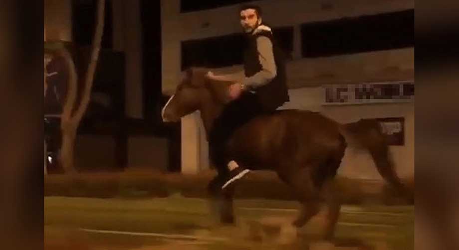 at-beni-kacırdı-izmir