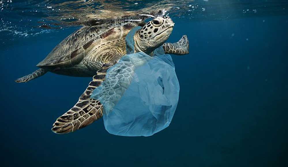 2050’de okyanuslardaki plastik atıkların miktarı balıkları geçebilir