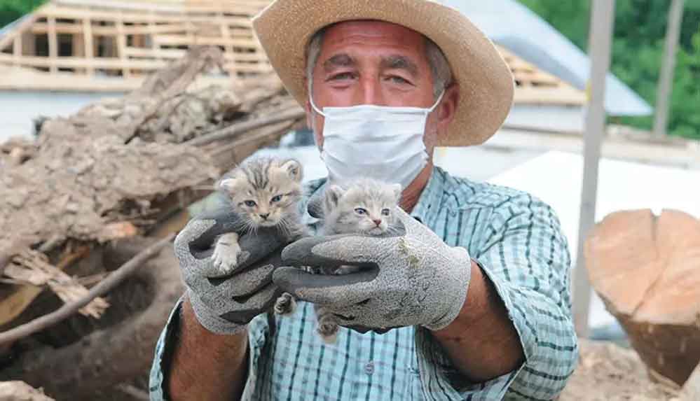 Bingöl'deki depremden 5 gün sonra 2 yavru kedi enkazdan sağ çıkarıldı 5 Bingöl'deki-depremden-5-gün-sonra-2-yavru-kedi-enkazdan-sağ-çıkarıldı