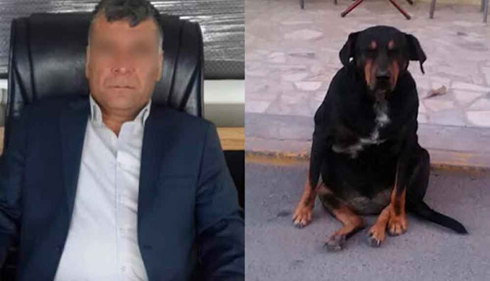 Bir ay boyunca köpeğe işkence ve tecavüz etti, 600 lira para cezasıyla serbest bırakıldı!