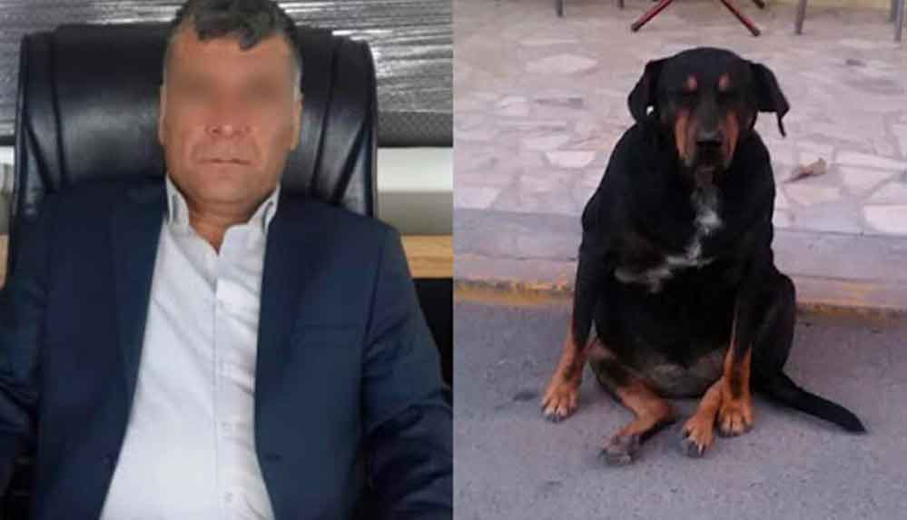 Bir-ay-boyunca-köpeğe-işkence-ve-tecavüz-etti,-600-lira-para-cezasıyla-serbest-bırakıldı!