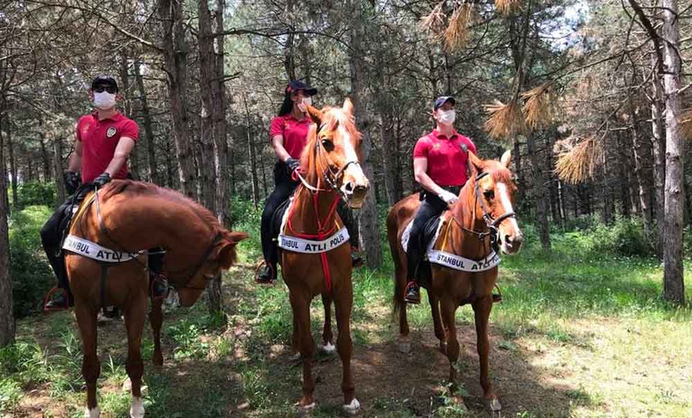 İstanbul'da 'doğa devriyesi' projesi başlıyor 3 İstanbul'da 'doğa devriyesi' projesi başlıyor