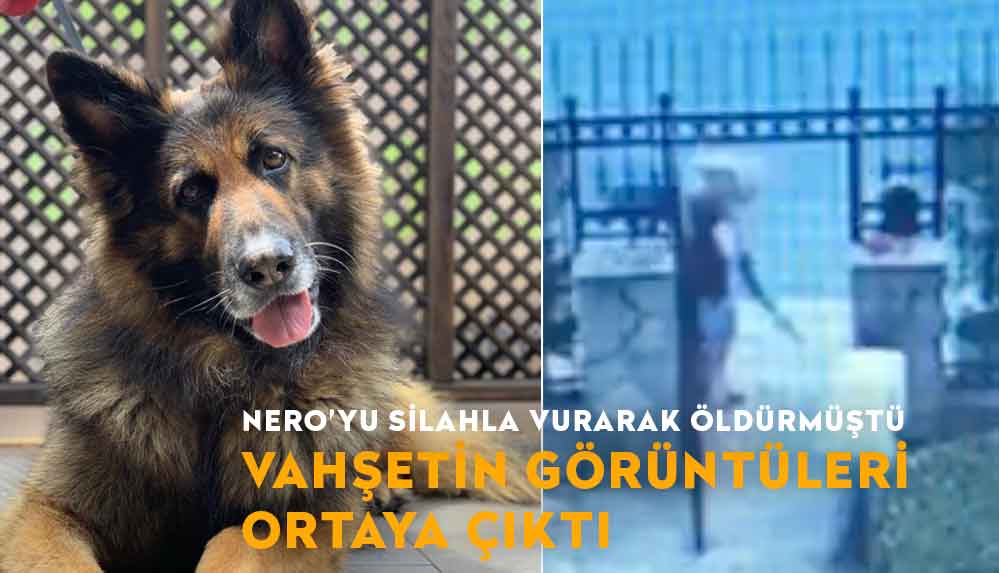 Eşini ısırdığı için köpek Nero'yu öldürdüğünü iddia etmişti, vahşetin görüntüleri ortaya çıktı