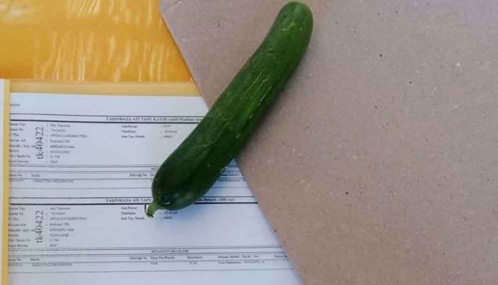 MHP’li belediye başkanı İYİ Parti ilçe başkanına zarf içinde ‘salatalık’ gönderdi 4 MHP’li-belediye-başkanı-İYİ-Parti-ilçe-başkanına-zarf-içinde-‘salatalık’-gönderdi