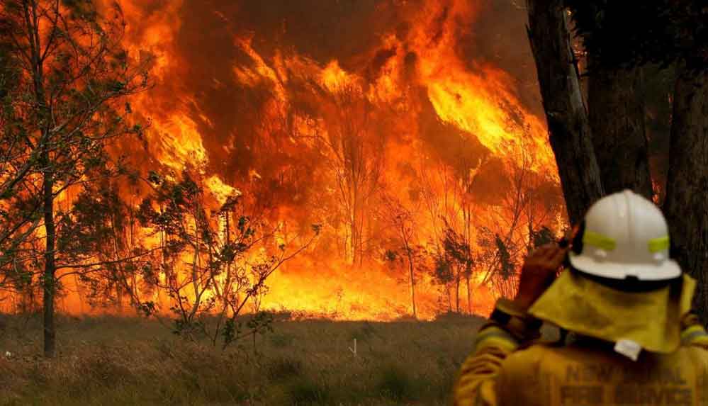 Çevre-haberciliğinde-kırmızı-alarm--Son-5-yılda-10-gazeteci-öldürüldü,-50’den-fazla-hak-ihlali-kaydedildi