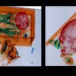 Havalimanında-yaşlı-kadının-bagajından-12-yıl-önce-ölen-eşinin-kemikleri-çıktı