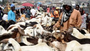 Nijerya’da çobanlarla çiftçiler çatıştı: 80 ölü