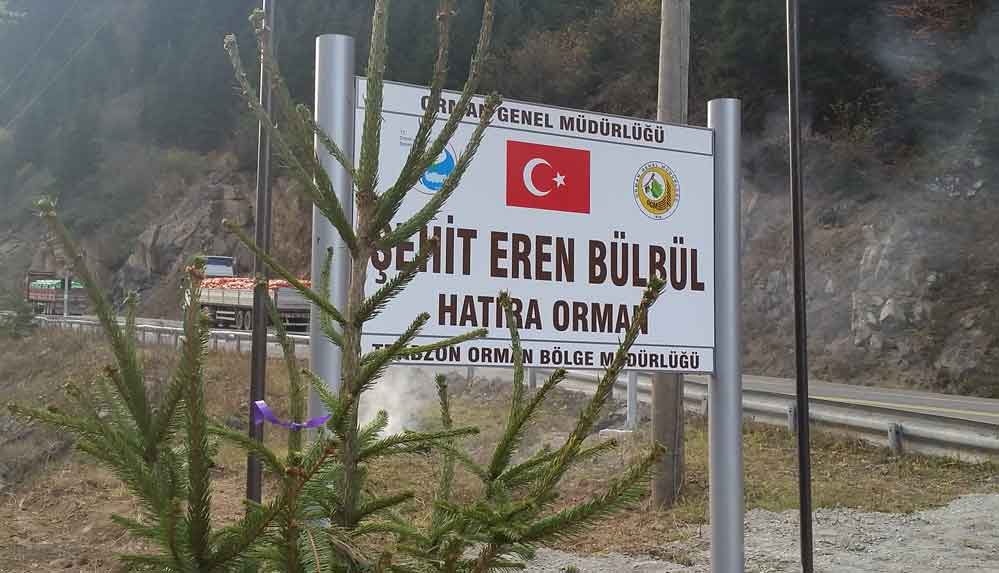 Şehit Eren Bülbül’ün anısına dikilen fidanlar büyüyor