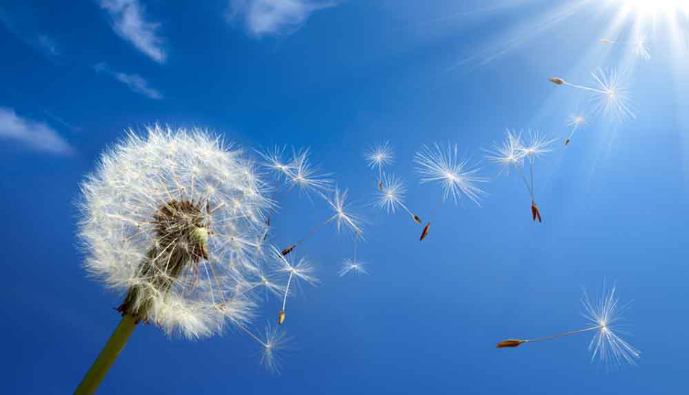 Yaz mevsiminde en sık görülen 6 alerji