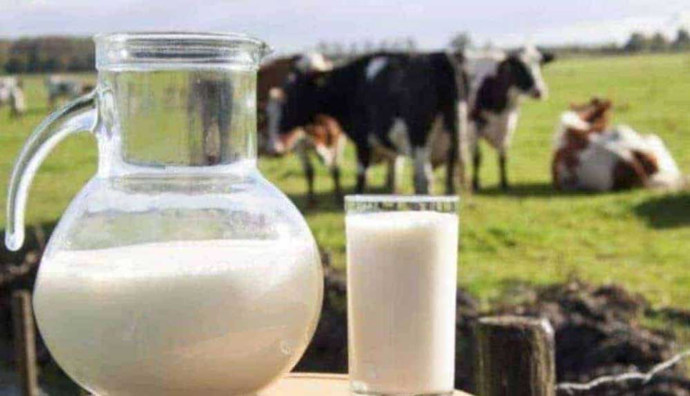 Çiğ süt buzdolabında kaç gün dayanır? Bozulduğu nasıl anlaşılır?