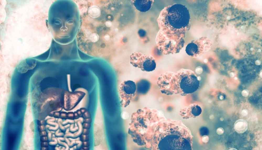 Koronavirüse-karşı-bağışıklık-kalkanı-oluşturun