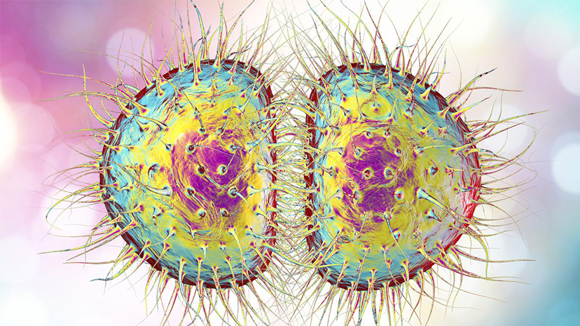 Beyninde hasar oluşan çocuğun ailesine 22.5 milyon sterlin tazminat ödenecek