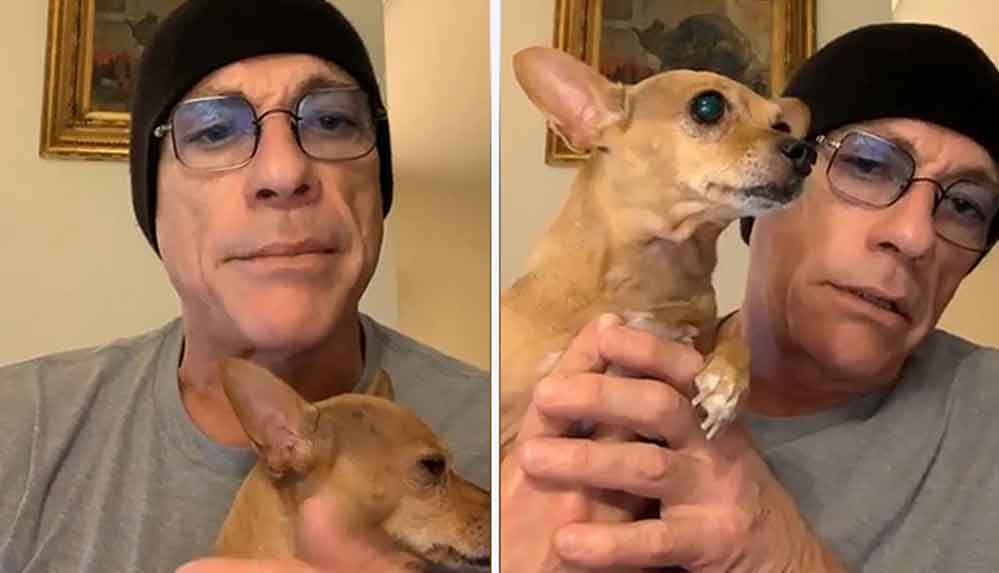 Jean-Claude Van Damme üç aylık köpeği uyutulmaktan kurtardı