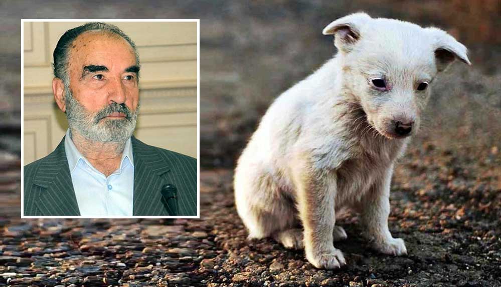 Yeni-Şafak-Yazarı-Karaman--Köpeklerin-üremeleri-asgariye-indirilmeli