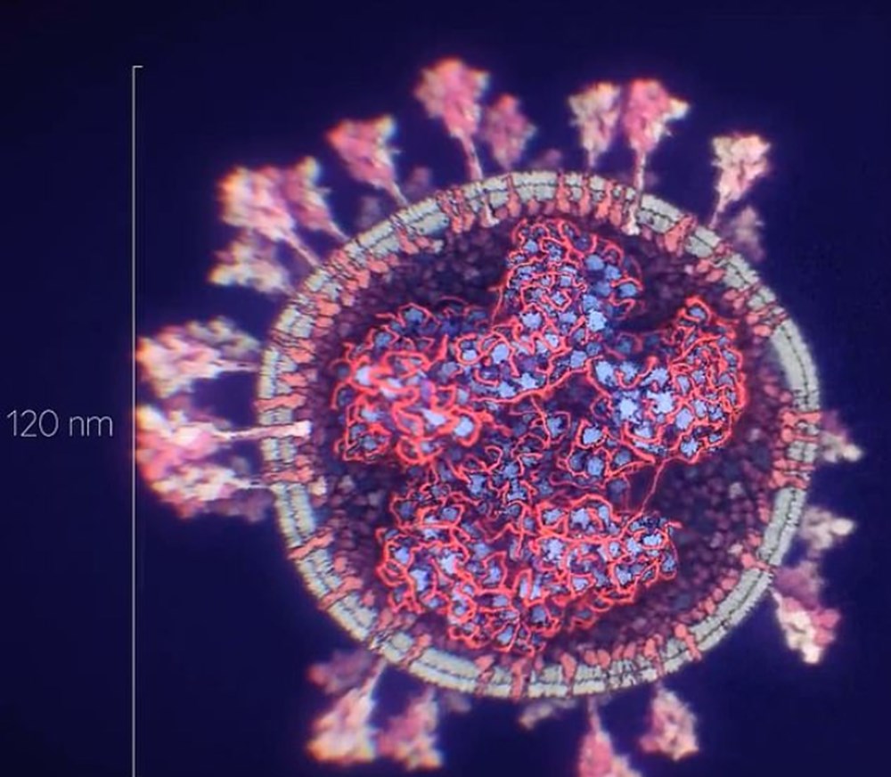 Koronavirüsün en gerçekçi görüntüsü elde edildi