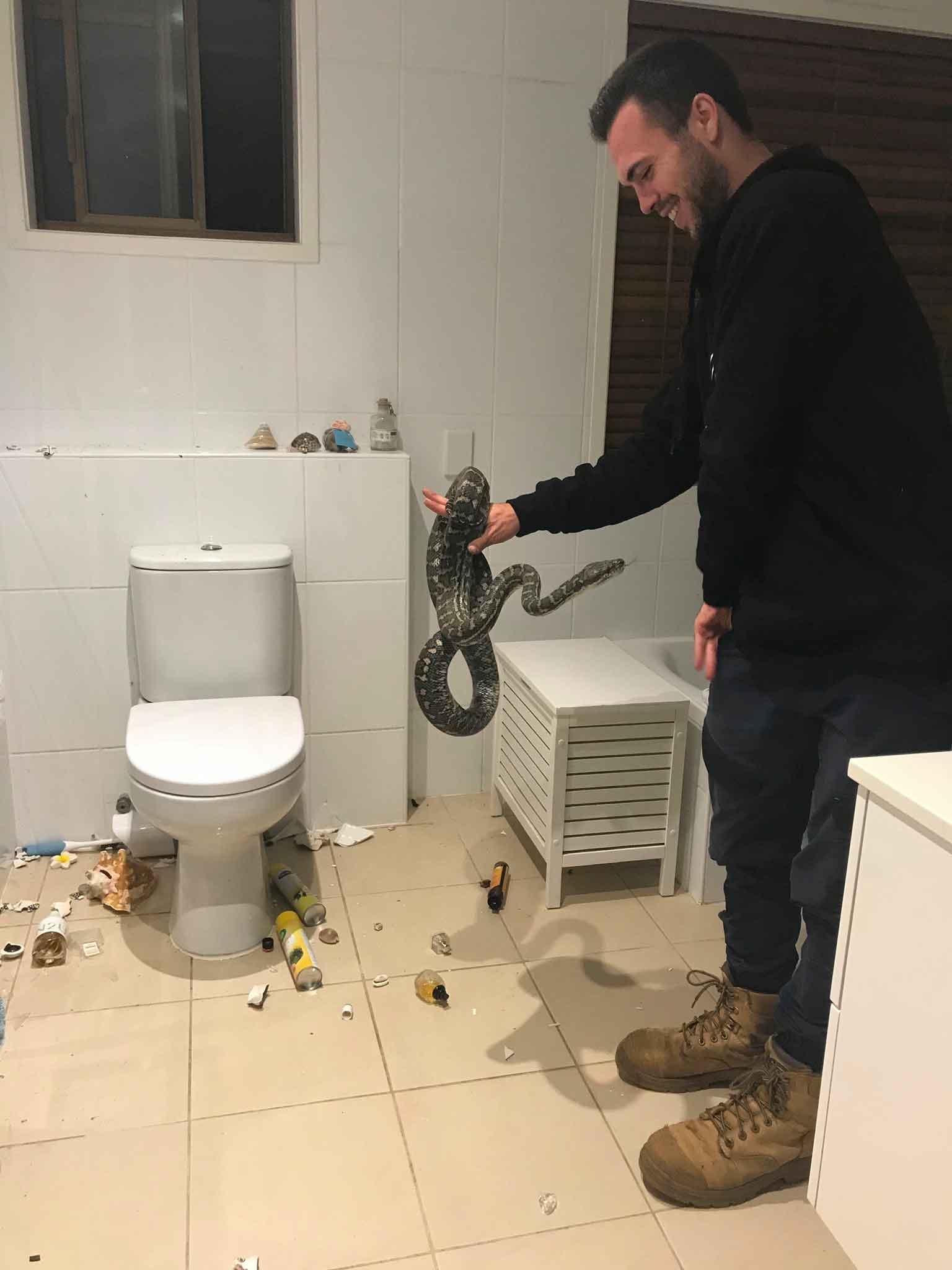 2,5 metrelik piton Avustralyalı ailenin banyosunu darmadağın etti