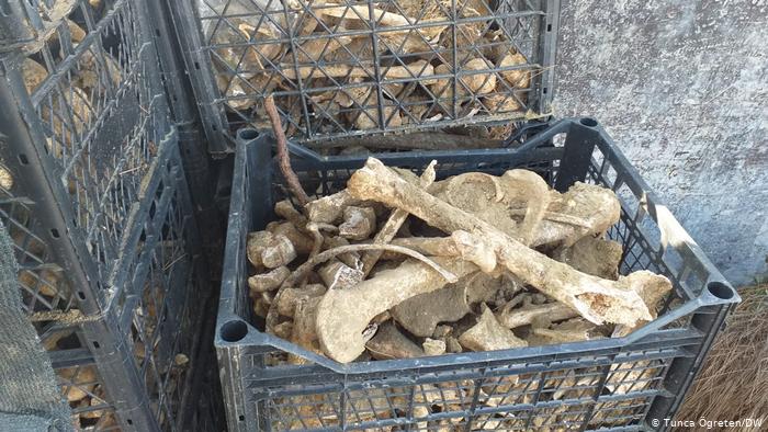 Tekirdağ Valiliği'nden "şehitlikteki kemikler zarar görmedi" açıklaması