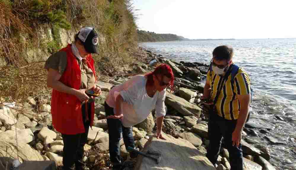 9 milyon yıllık mamut fosilleri bulundu