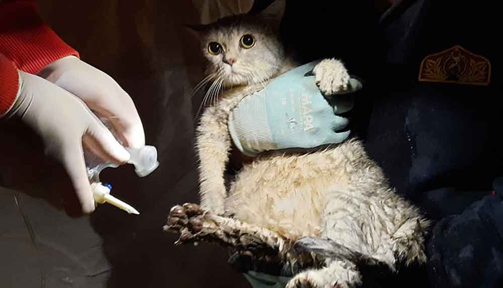 Depremden-32-saat-sonra-sağ-çıkarıldı