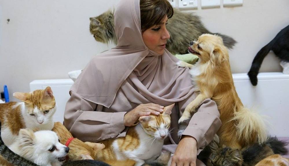 Evinde-480-kedi-ve-12-kopege-bakiyor