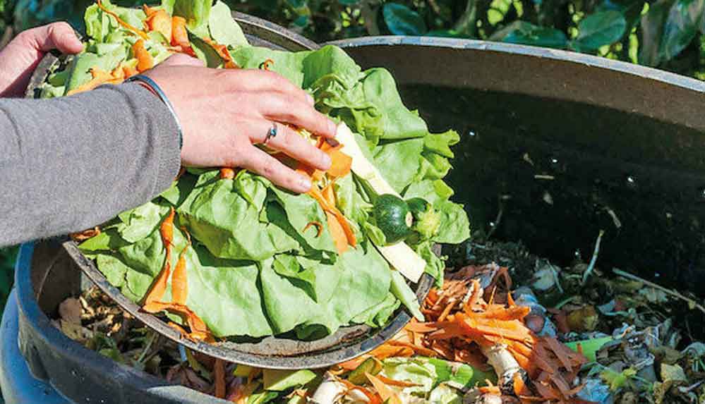 Her-yıl-18,8-milyon-ton-gıda-çöpe-gidiyor