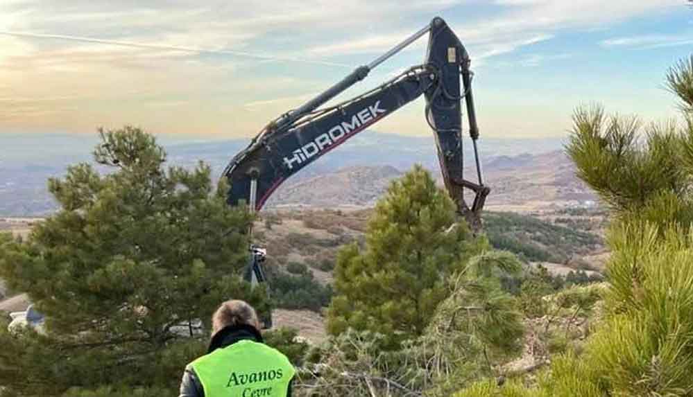 Kanadalı-şirket,-Avanos’ta-ağaçları-keserek-altın-arama-çalışmaları-başlattı