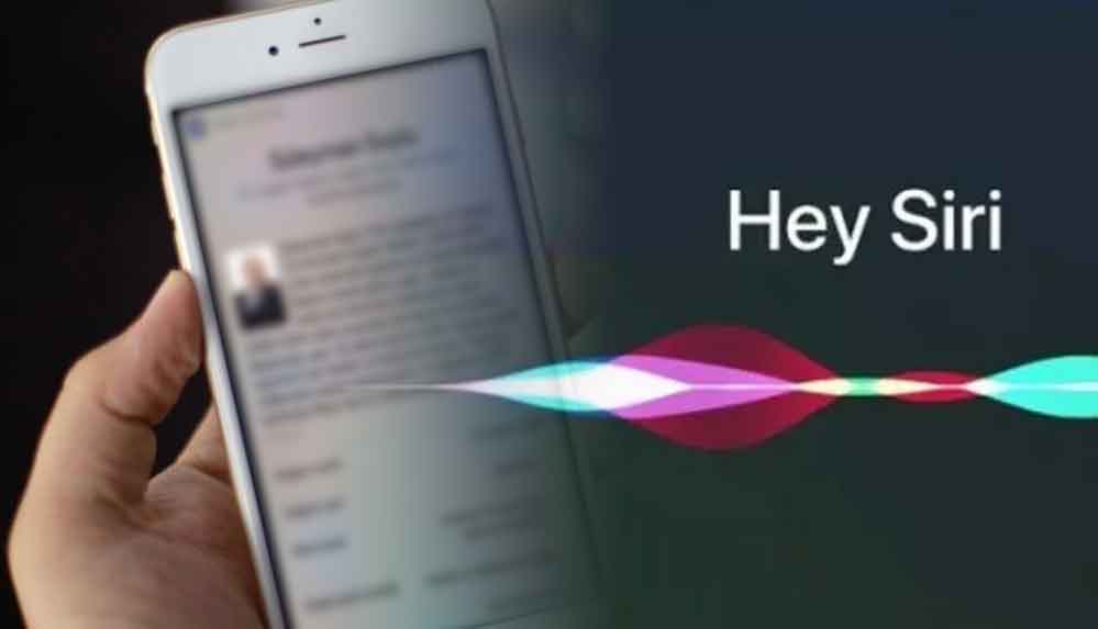 Şamil-Tayyar-'Siri'ye-'Süleyman-Soylu'-diye-seslenince-aldığı-cevap-şok-etti