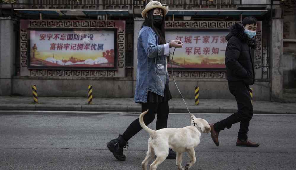 'Üç kez ihlal edenlerin köpeği öldürülecek'