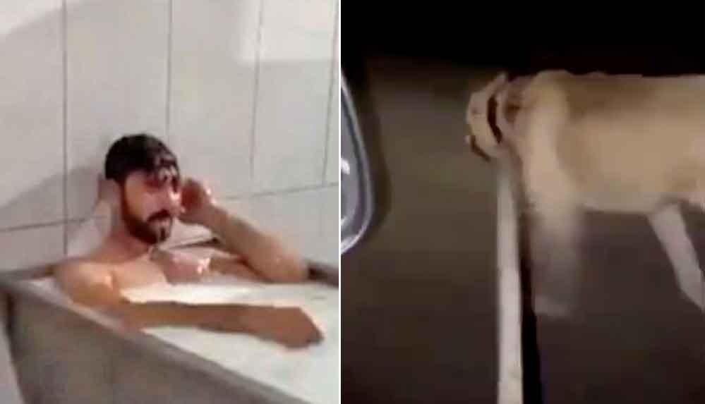 Süt banyosu rezaletinden sonra köpeğe eziyette ortaya çıktı
