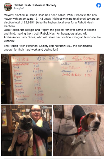 Wilbur Beast isimli köpek ABD'de bir kasabanın belediye başkanı oldu