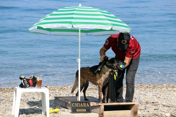 Narkotik köpeği Çayra emekli oldu