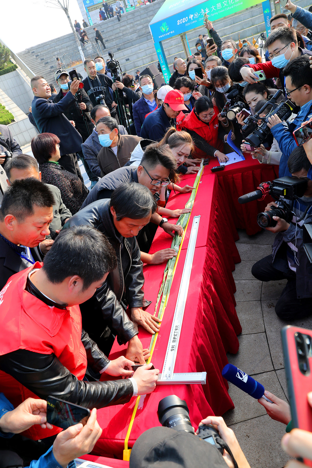 2.53 metre uzunluğunda yeşil soğan yetiştirdi, Guinness rekoru kırdı