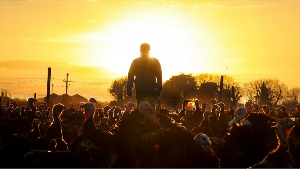 Uzaktan çalışma eşitsizlik konusunda neleri gösteriyor? 3 Uzaktan çalışma eşitsizlik konusunda neleri gösteriyor?