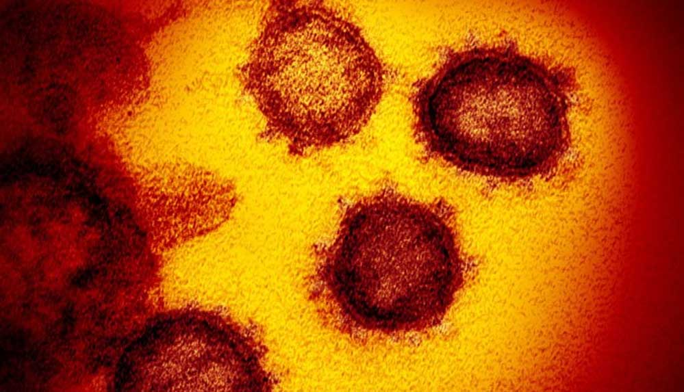 İngiltere: Güney Afrika’da daha endişe verici bir koronavirüs varyantı tespit edildi