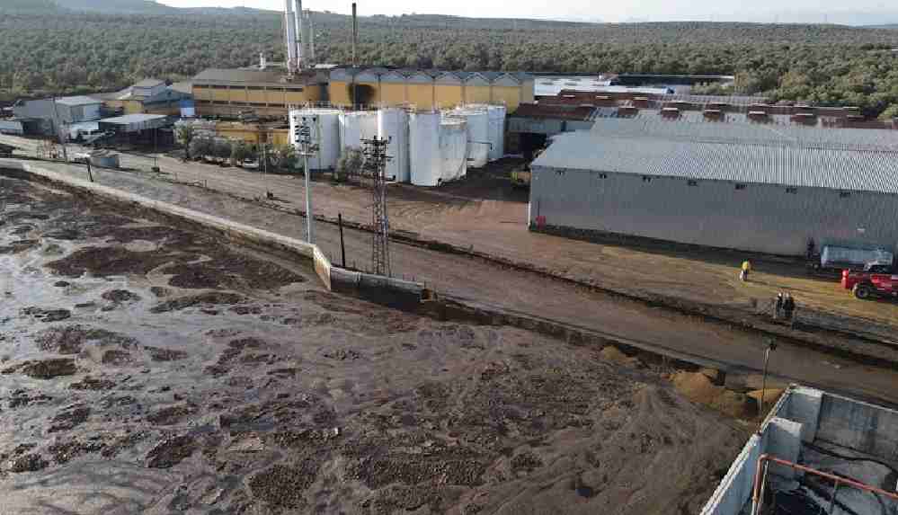 Ayvalık'ta yaklaşık 4 ton atık 3 kilometrelik bir alana yayıldı